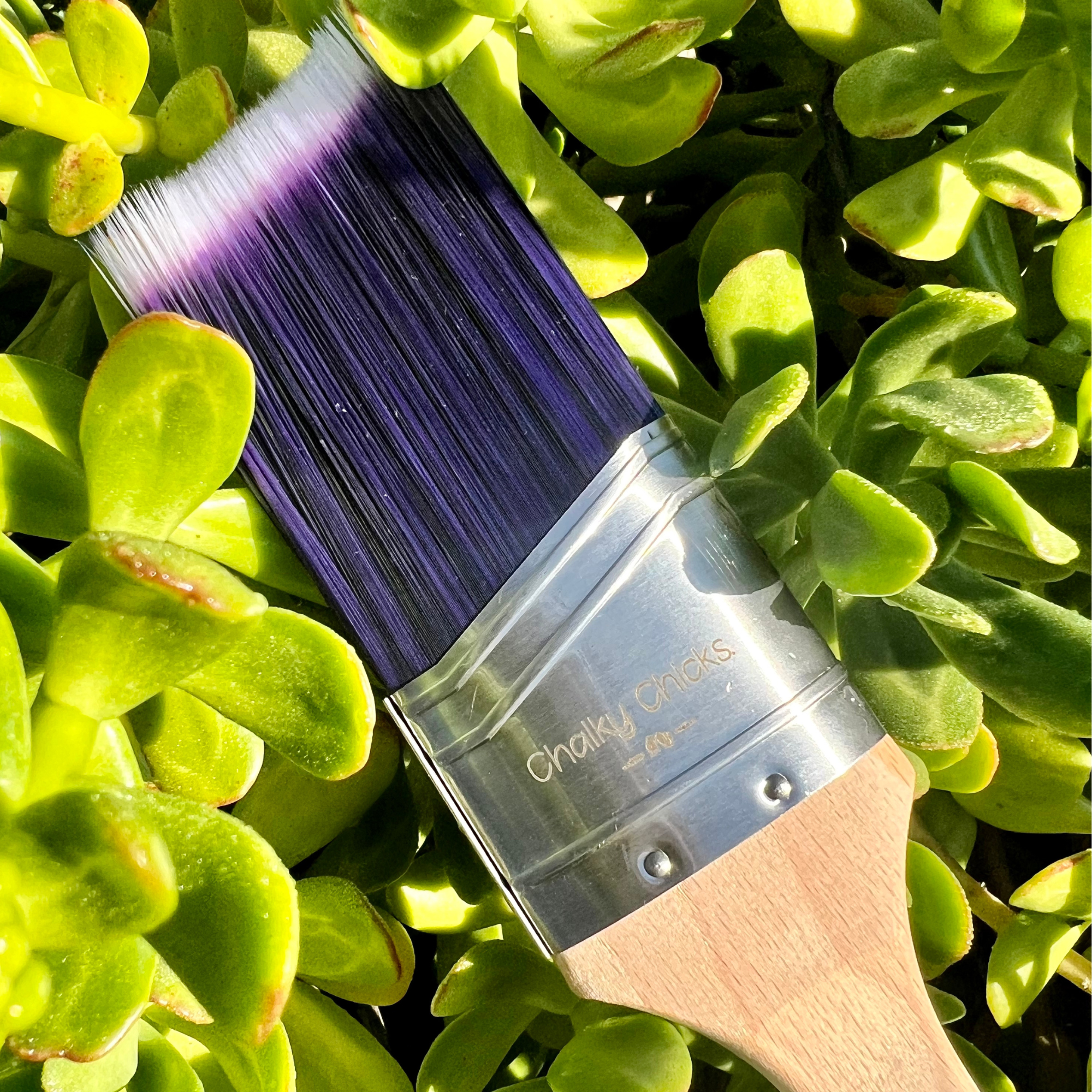 The Starling - 2 inch angled brush with Beveled Synthetic Fiber Bristles, Rounded Ergonomic