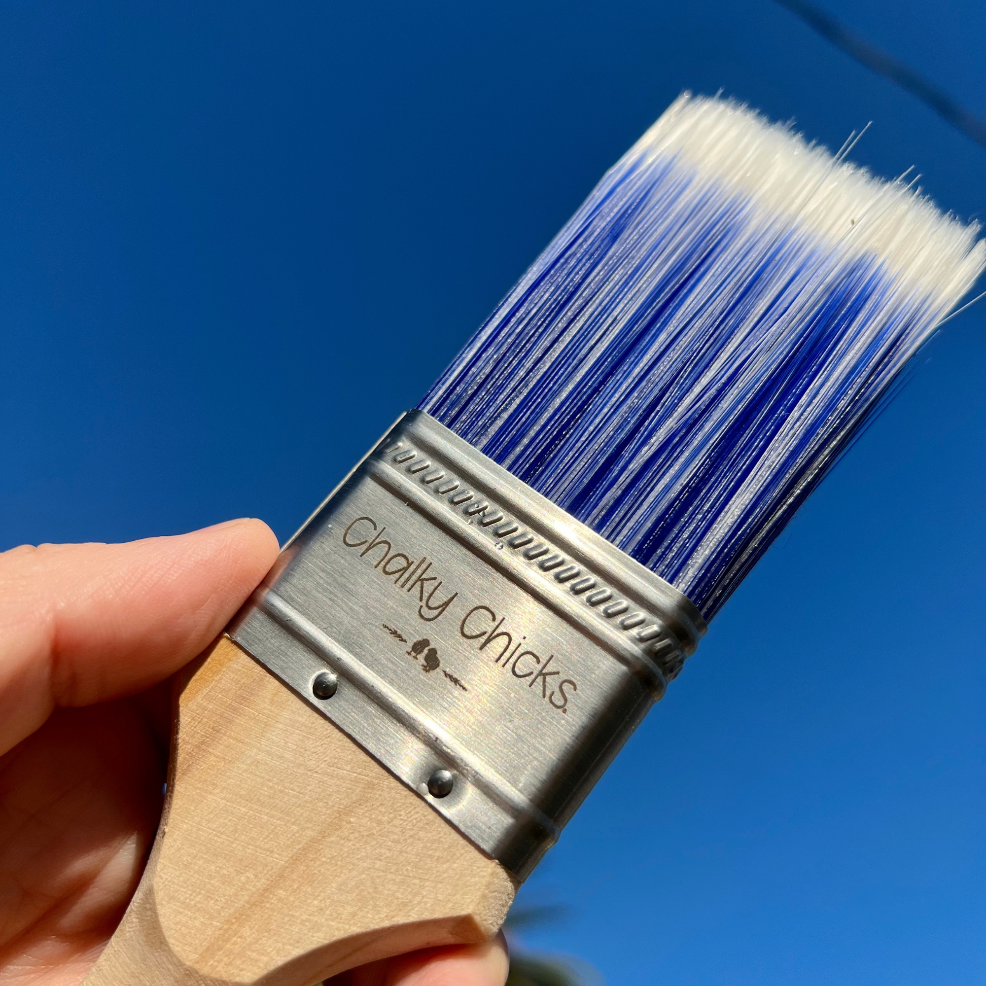 The Blue Bird - 2 inch flat brush with beveled synthetic fiber bristles, Rounded Ergonomic
